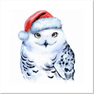 Watercolor Snow Owl Posters and Art